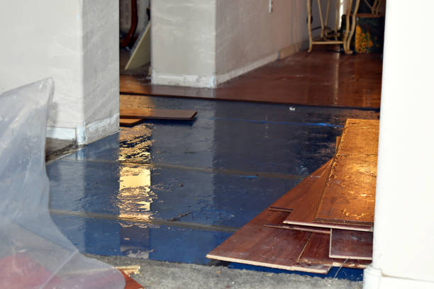 Professional Basement Water Removal technician working in Rochester, NH