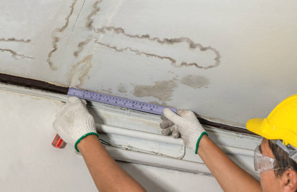 Reliable Basement Water Removal contractor in Rochester, NH by Water Damage Irwin